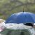 Topic image: Precipitation
